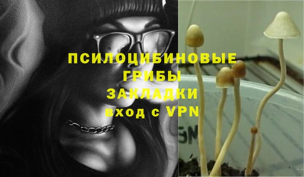 кокс Касимов