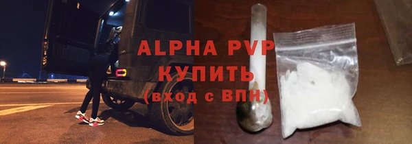 кокс Касимов