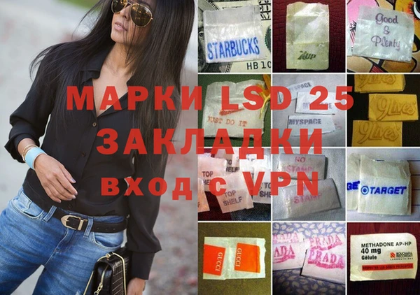 кокс Касимов